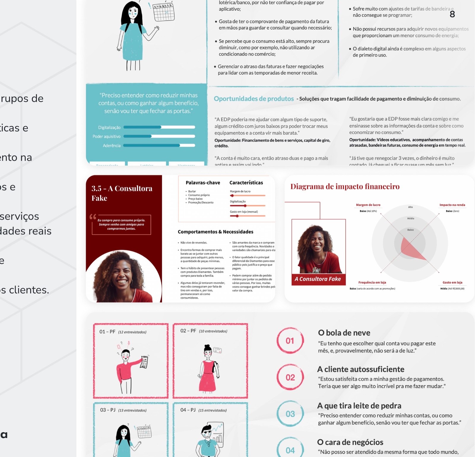 Exemplos de Mapeamento de Perfil de Público