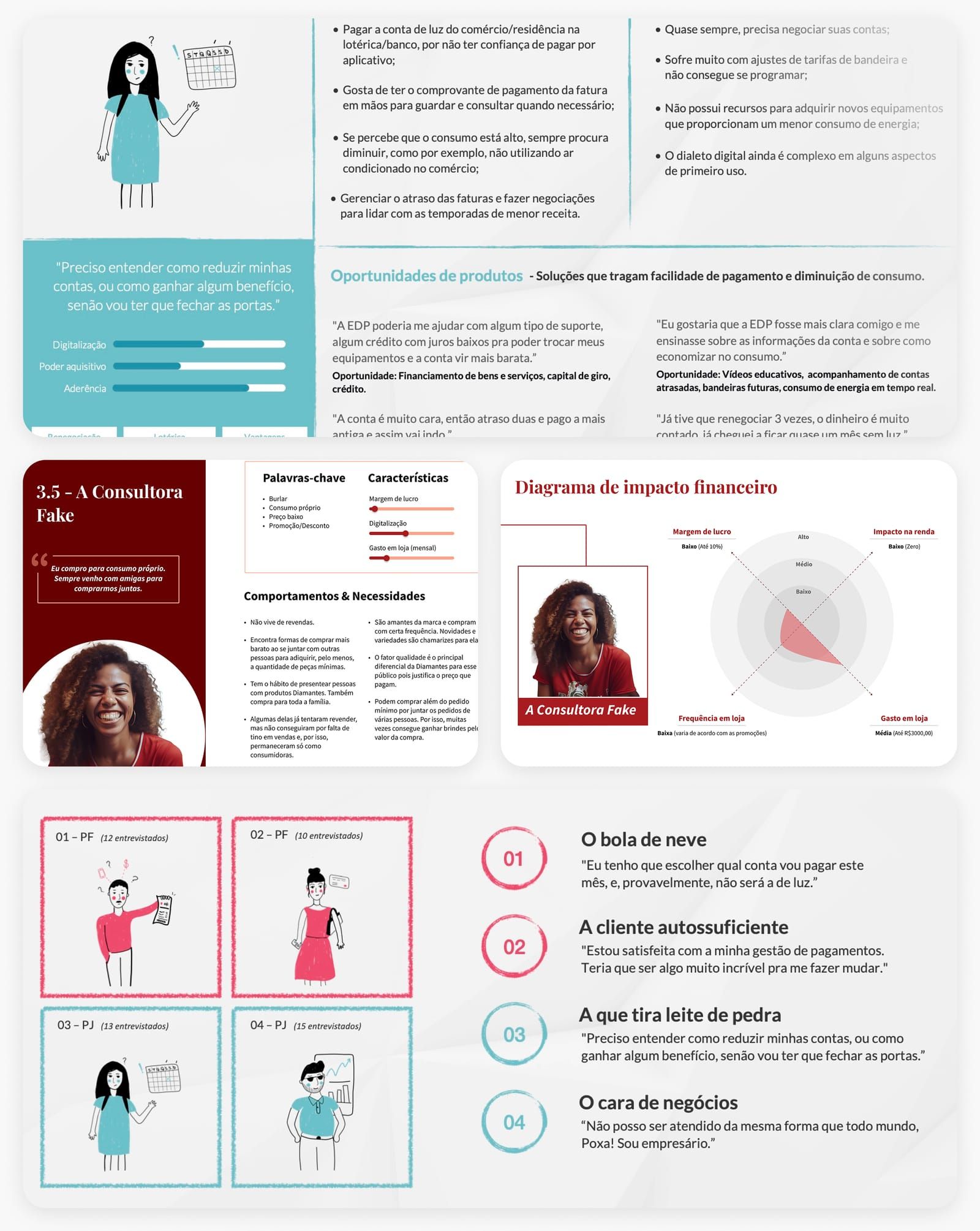 Exemplos de Mapeamento de Perfil de Público